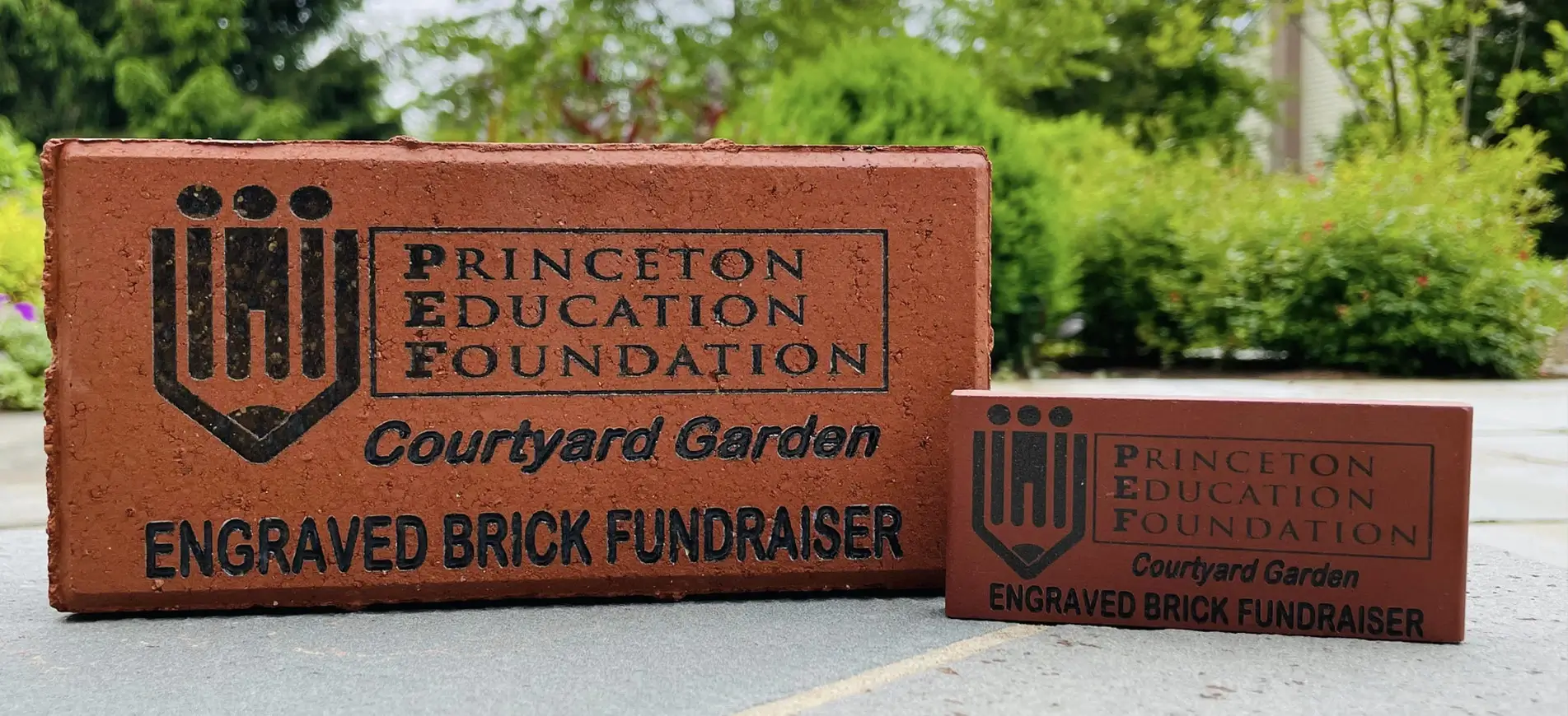 Princeton education foundation